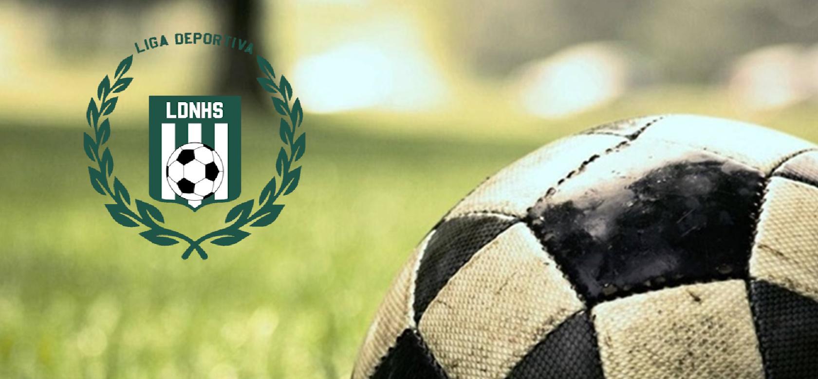 Liga Deportiva Barrial Nuevos Horizontes del Sur